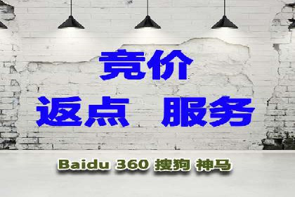 行业专家解析SEM代运营成功案例